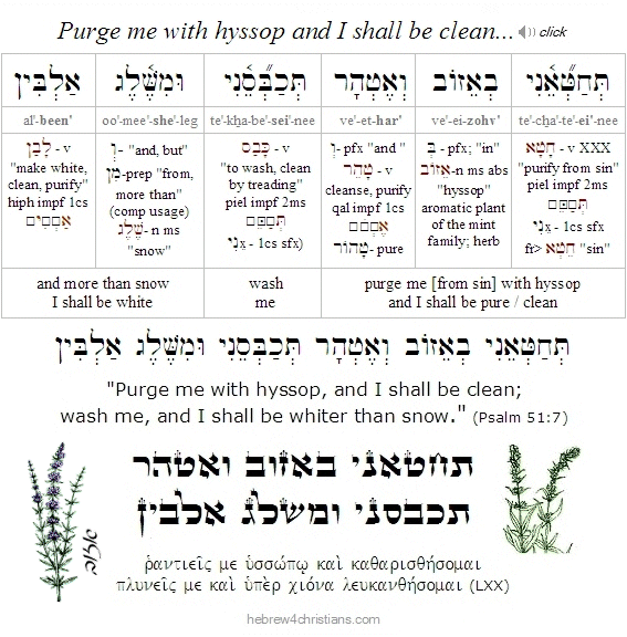 Psalm 51L7 Hebrew lesson