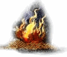 Bonfire