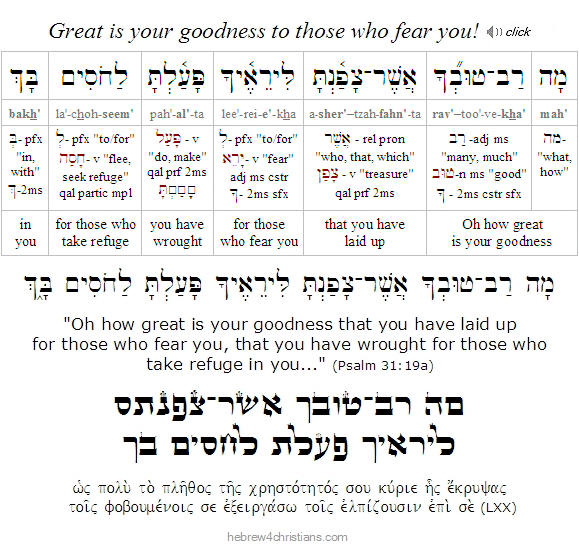 Psalm 31:19a Hebrew Lesson
