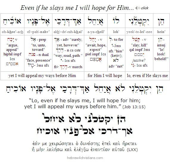 Job 13:15 Hebrew Lesson