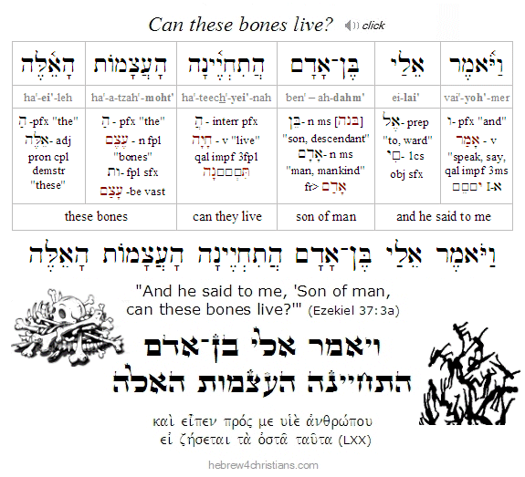 Ezek. 37:3 Hebrew lesson