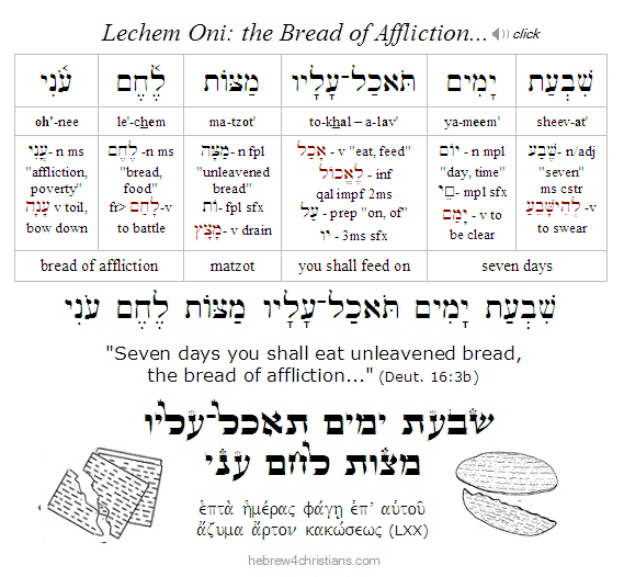 Deut. 16:3b Hebrew Lesson