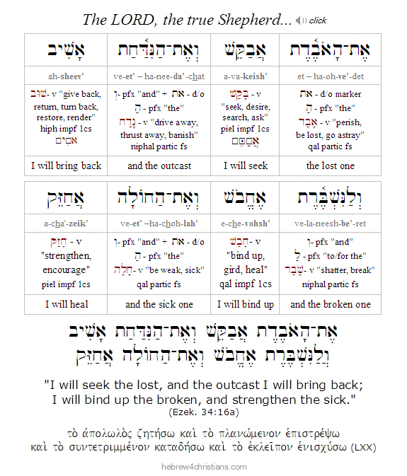 Ezekiel 34:16a Hebrew Lesson