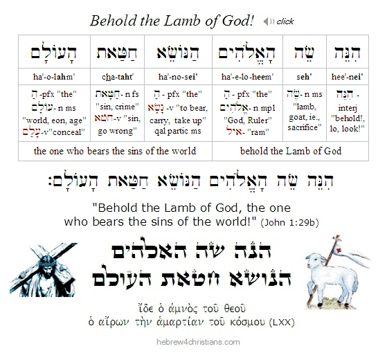 John  1:29 Hebrew lesson