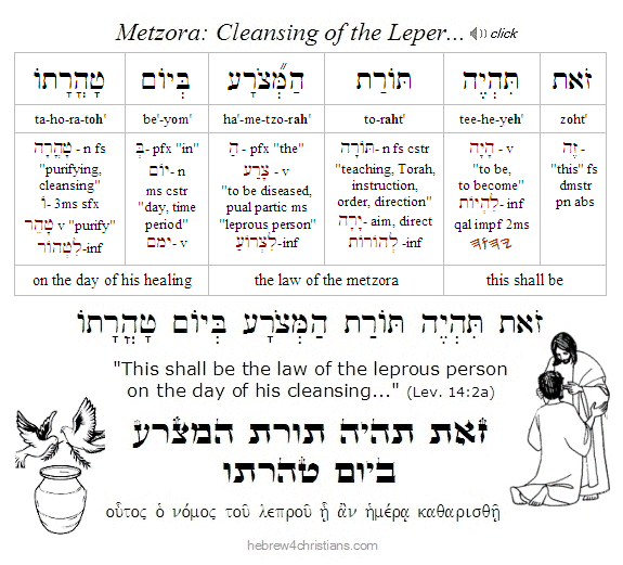 Lev. 14:2a Cleansing the Leper Hebrew
