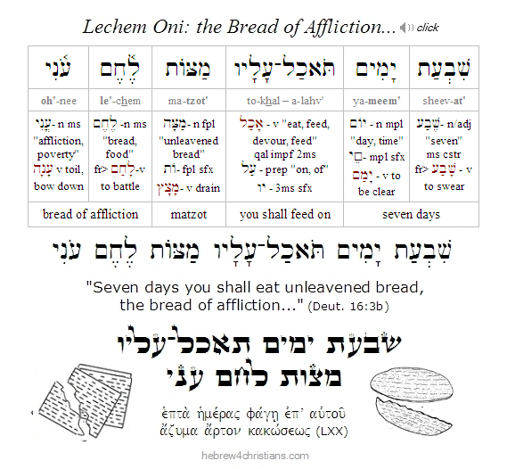 Deut. 16:3b Hebrew lesson