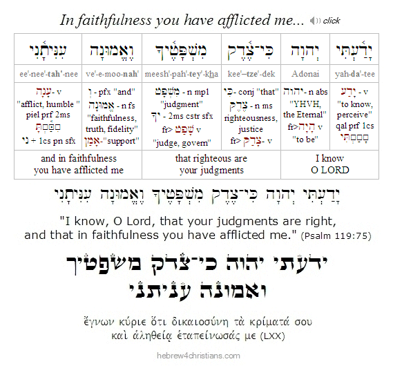 Psalm 119:75 Hebrew Lesson