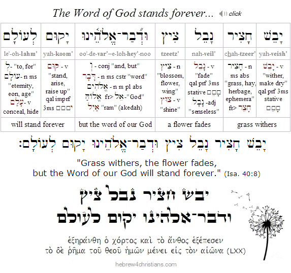 Isaiah 40:8 Hebrew Lesson